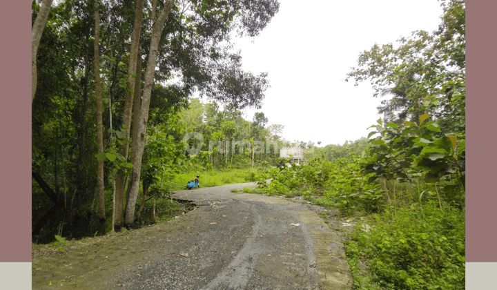 Tanah Jogja Murah, Hanya 80 Jtan, Area Strategis Kulon Progo 1