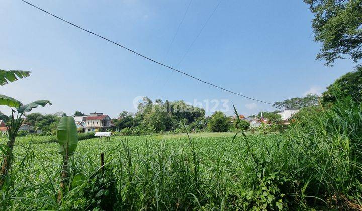 Tanah SHM Hanya 1,2 Km RS Hermina Jogja,View Sawah 2