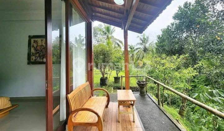 For Sale 3 Private Villas with Mountain and Rice Field Views in Marga Tabanan Mid