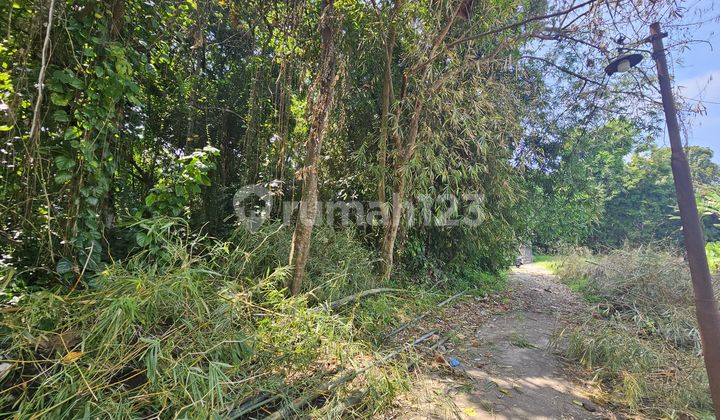 Tanah 6.7 Are Posisi Hook View Sawah Dekat Tanah Lot Md