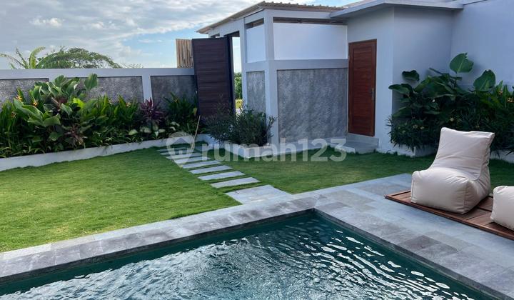 Disewakan Villa Private Pool View Sawah Di Canggu At