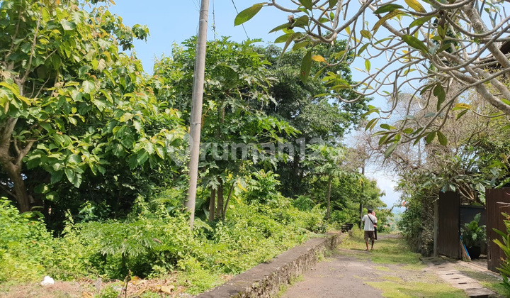Tanah di Tundun penyu, Ungasan 5 Are SHM - Sertifikat Hak Milik Tanah di Tundun penyu, Ungasan 5 Are SHM - Sertifikat Hak Milik
