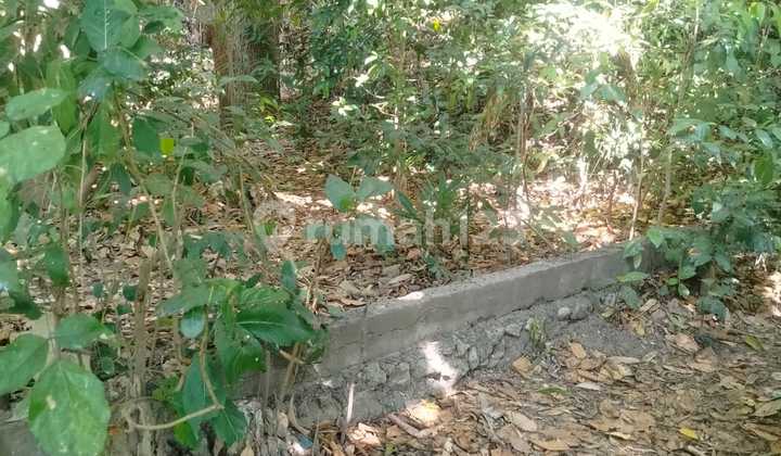 Tanah 7 Are Lost Sungai Dekat Nook Resto Md