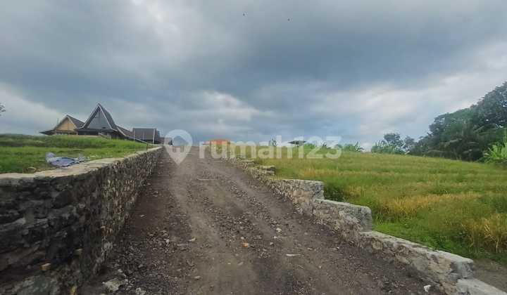 Land 37 Are in Kaba Kaba Near Canggu Md Land 37 Are in Kaba Kaba Near Canggu Md