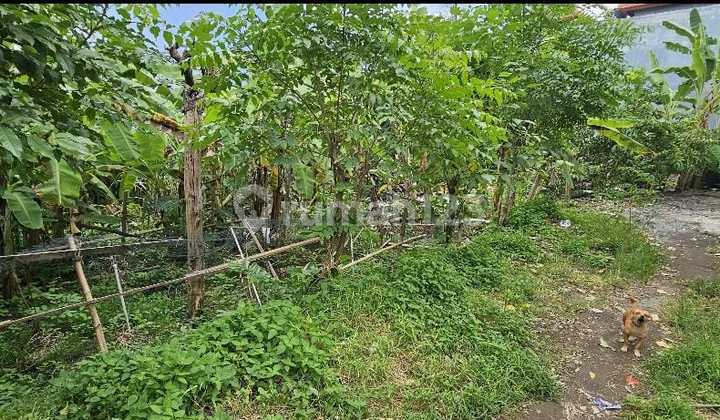 Dijual Tanah 8.5 Are Shm Di Padonan Canggu Md