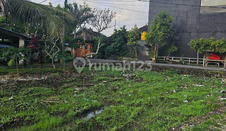 Dijual Tanah Luasan Kecil Mulai Dari 1 Are Di Canggu Md Dijual Tanah Luasan Kecil Mulai Dari 1 Are Di Canggu Md
