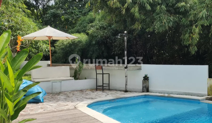 For Rent 3 Bedroom Furnished Villa with River View in Canggu For Rent 3 Bedroom Furnished Villa with River View in Canggu