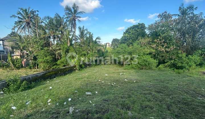Dijual Tanah 6 Are View Sawah Dan Sungai Di Munggu Md Dijual Tanah 6 Are View Sawah Dan Sungai Di Munggu Md