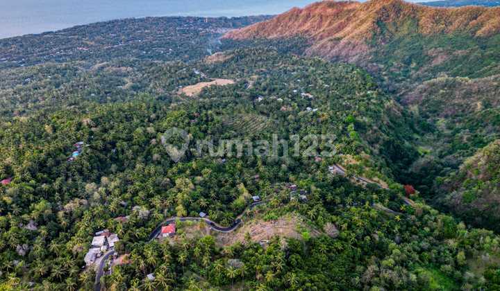Tanah 1 Hektar View Laut dan Gunung di Buleleng Dd Tanah 1 Hektar View Laut dan Gunung di Buleleng Dd