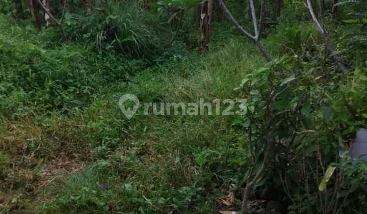 Dijual Tanah 1.8 Are View Sawah Hadap Selatan Md Dijual Tanah 1.8 Are View Sawah Hadap Selatan Md