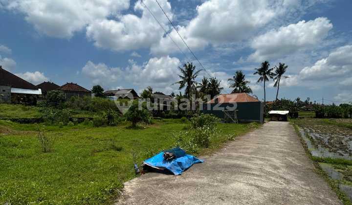 Tanah 2 Are Posisi Hook Di Kediri Tabanan Md Tanah 2 Are Posisi Hook Di Kediri Tabanan Md