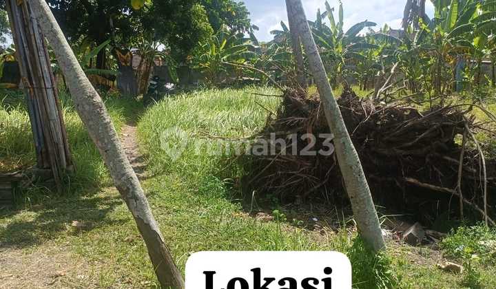 Dijual Tanah 12.76 Are Shm View Sawah Di Umalas Md Dijual Tanah 12.76 Are Shm View Sawah Di Umalas Md