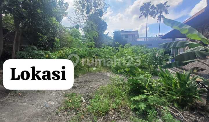 Dijual Tanah 4 Are Posisi Hook Lokasi Di Perbatasan Buduk Tumbak Bayuh Md Dijual Tanah 4 Are Posisi Hook Lokasi Di Perbatasan Buduk Tumbak Bayuh Md