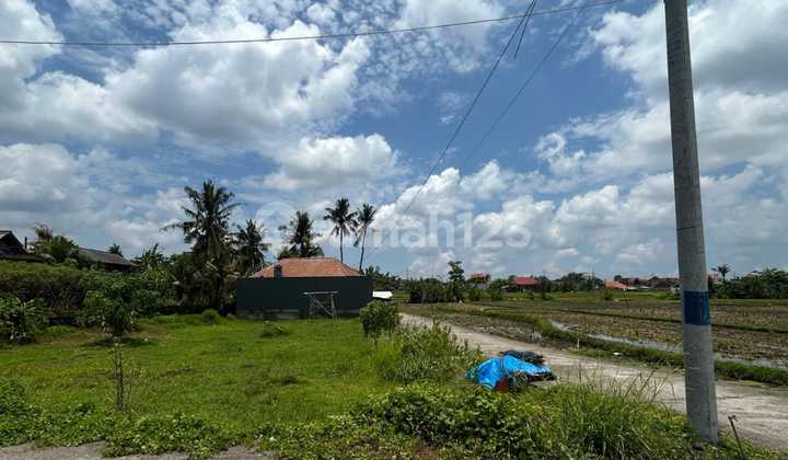 Tanah 2 Are Posisi Hook Di Kediri Tabanan Md Tanah 2 Are Posisi Hook Di Kediri Tabanan Md