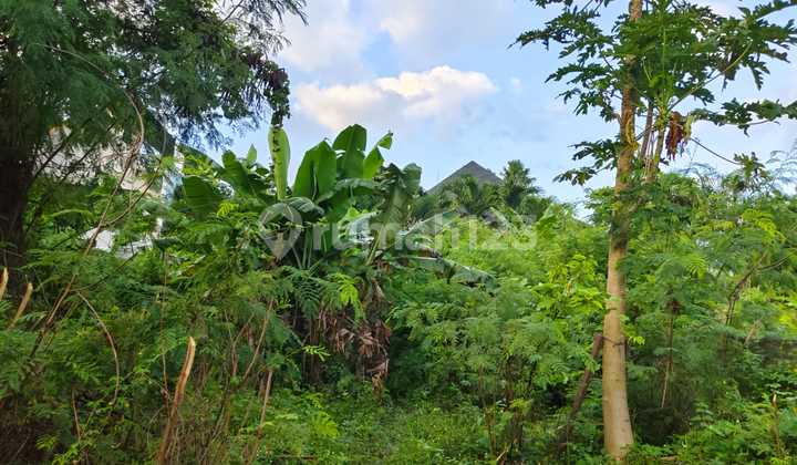 Land 2.25 Ares SHM in Yellow Zone, Pererenan, Mengwi District