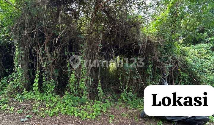 Dijual Tanah 1.1 Are Cocok Untuk Villa Shm Dekat Pantai Nyanyi Md Dijual Tanah 1.1 Are Cocok Untuk Villa Shm Dekat Pantai Nyanyi Md