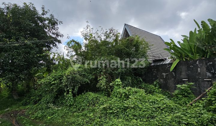 Dijual Tanah Luasan Kecil 315.0 M² Di Padonan Canggu Md