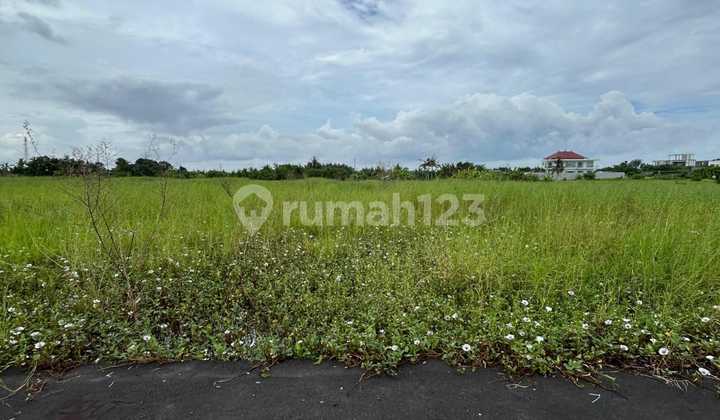 For Sale 355.0 m² Land with Rice Field View at Kedungu Beach, MD For Sale 355.0 m² Land with Rice Field View at Kedungu Beach, MD