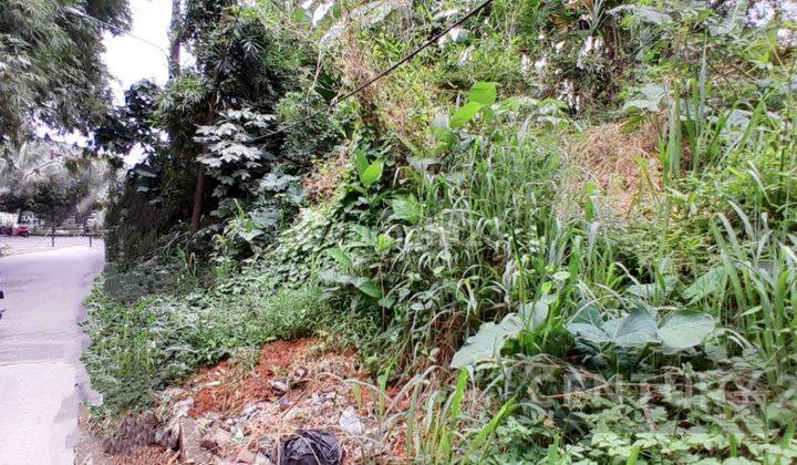 Tanah Di Jalan Raya Cijujung Sukaraja Bogor 1