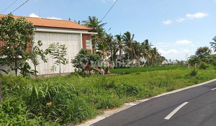 Strategic land for sale in Ubud 2