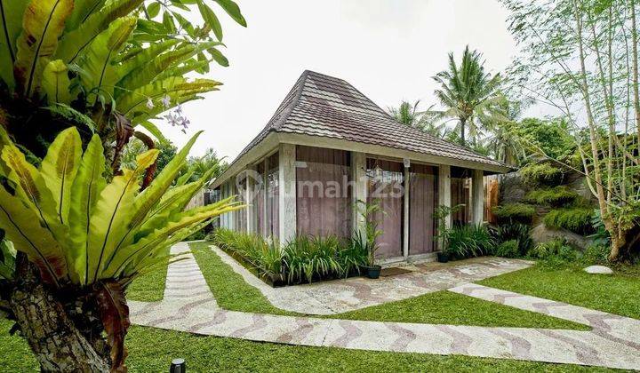 Leasehold 25 Years Villa In Ubud With Ricefield View  2