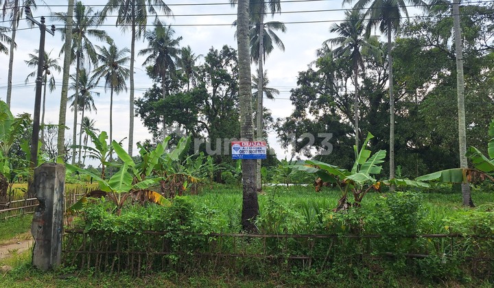 Dijual Tanah 5,8 Ha Ciwaru - Resort / Healing Center