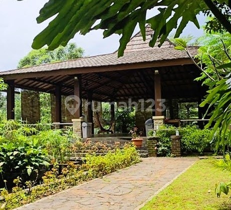 Turun 10M! Tempat Wisata Sentul View Gunung Turun harga besar! Dari 26 M → 16 M (Nego)