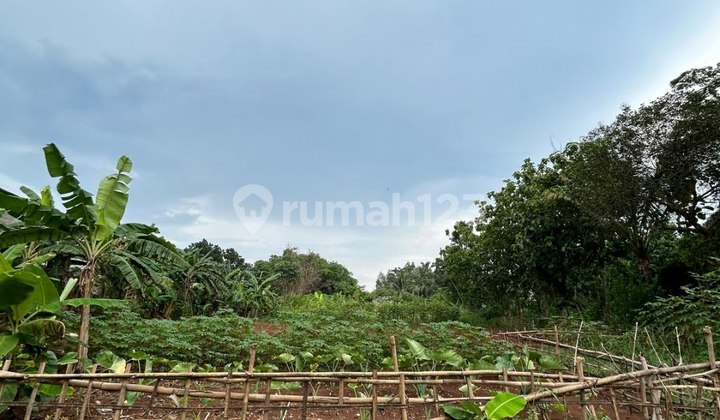 Dijual Tanah Strategis – Cisauk, Serpong Dijual Tanah Strategis – Cisauk, Serpong