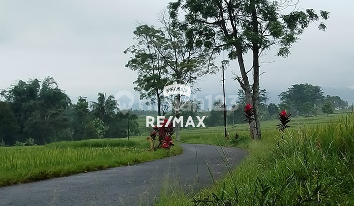 Land area of 2,010 m² in Subang, suitable for slow living residences, garden houses, or family villas. Land area of 2,010 m² in Subang, suitable for slow living residences, garden houses, or family villas.