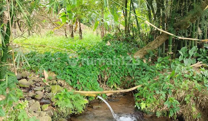 A 2,010 m² plot of land in Subang, ideal for slow living residences, garden homes, or family villas. A 2,010 m² plot of land in Subang, ideal for slow living residences, garden homes, or family villas.