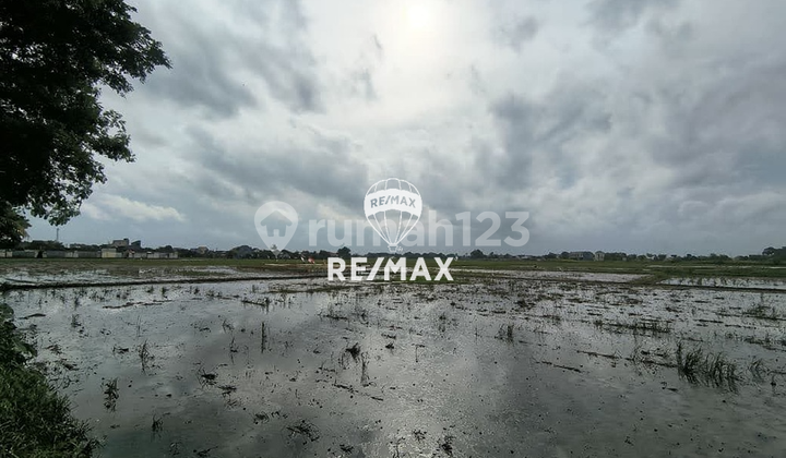 Disewakan Lahan Kosong Luas - Sepatan, Kabupaten Tangerang Disewakan Lahan Kosong Luas - Sepatan, Kabupaten Tangerang