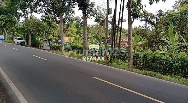 Di Bawah NJOP! Lahan 1.7 Ha Rangkasbitung - Pinggir Jalan Provinsi - Akses Kontainer 40Ft Di Bawah NJOP! Lahan 1.7 Ha Rangkasbitung - Pinggir Jalan Provinsi - Akses Kontainer 40Ft