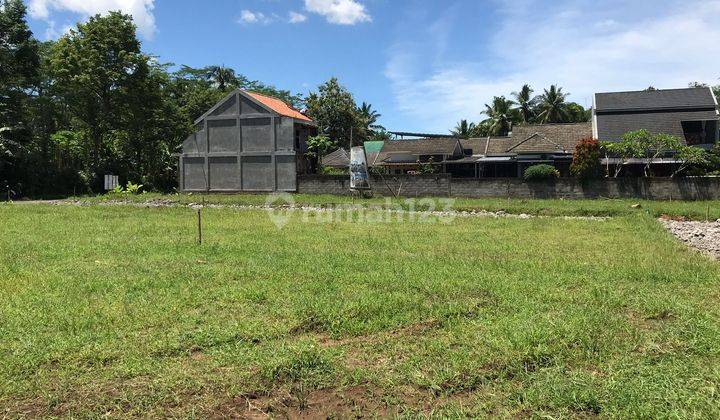 Tanah Bisa Nego Keras Di Tepi Jalan Besar Kawasan Borobudur Magelang 1