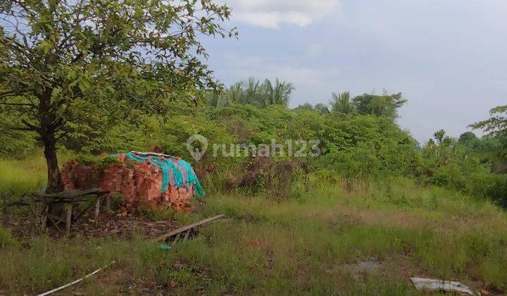 Dijual Dan Disewakan Lahan Tanah di Km 14 Jalan Palembang Pangkalan Balai Banyuasin Palembang 1