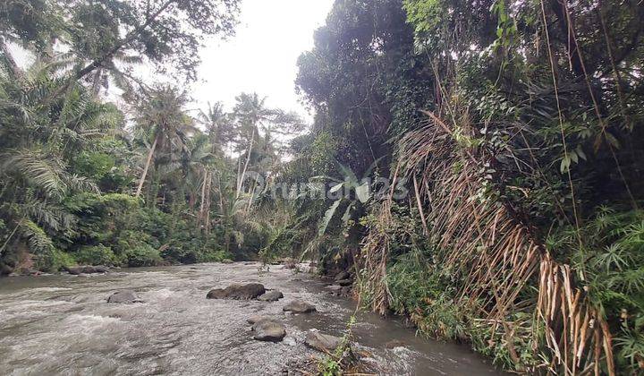 Tanah Super Premium Loss Sungai Ayung Sayan Ubud  VIEW TEBING DAN SUNGAI AYUNG LEBAR BIBIR SUNGAI PANJANG +/- 400 m 2