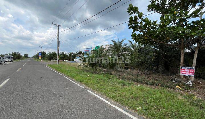 Dijual Tanah Di Tanjung Api Api Depan Pelabuhan Tanjung Api Api 2