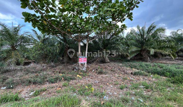 Dijual Tanah Di Tanjung Api Api Depan Pelabuhan Tanjung Api Api 1