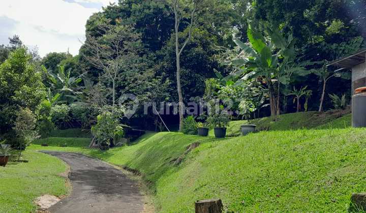 Property Nuansa Villa Dengan Halaman Luas Kupa,dago Bandung Utara Property Nuansa Villa Dengan Halaman Luas Kupa,dago Bandung Utara