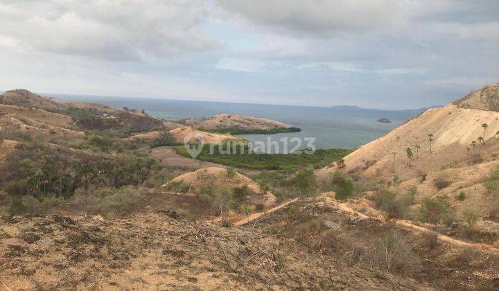 Tanah Luas Untuk Hotel di Labuan Bajo Ntt 1