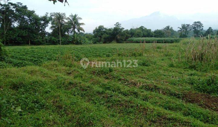 Dijual tanah siap bangun di lokasi strategis kab bogor  1