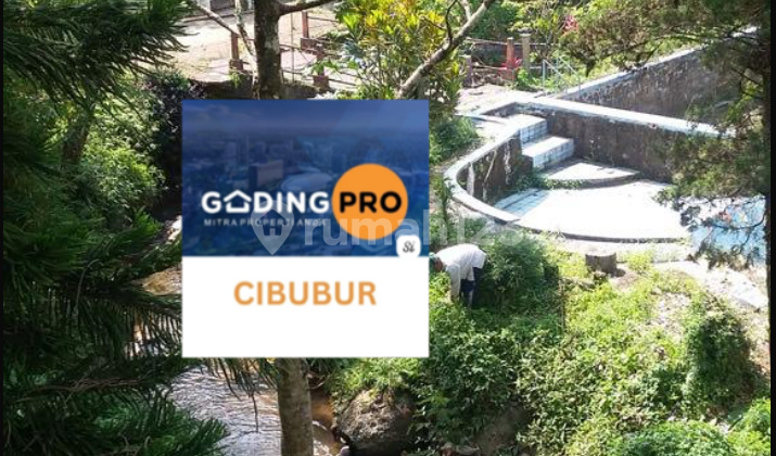 Dijual Tanah 1.4Ha di Cipanas Cocok untuk Resort atau Usaha Dijual Tanah 1.4Ha di Cipanas Cocok untuk Resort atau Usaha