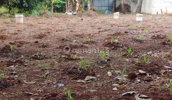 Tanah di Jual /Sewa 1