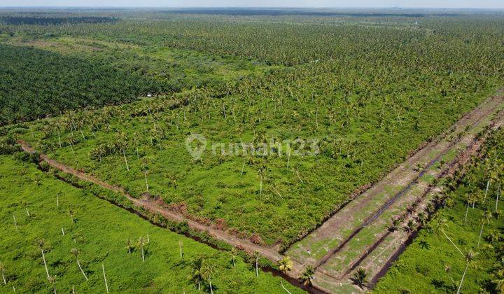 Dijual Cepat Tanah Peniti Sekadu Hilir Kalimatan Barat 2