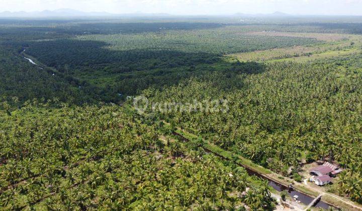 Dijual Cepat Tanah Peniti Sekadu Hilir Kalimatan Barat 2