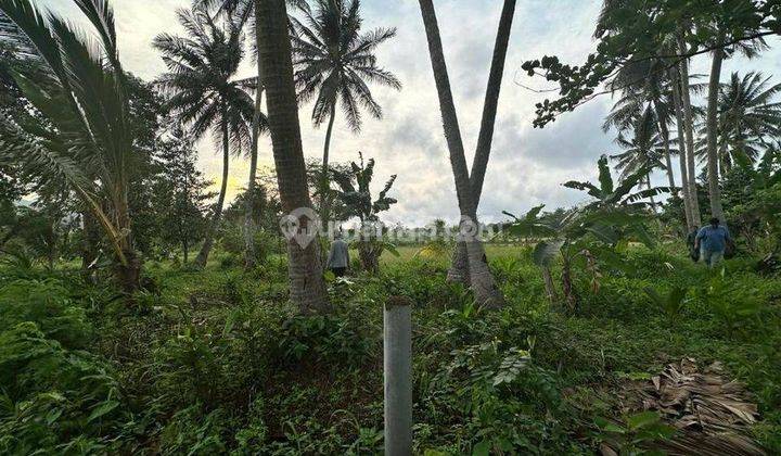 Dijual Cepat Tanah Carita Pandeglang 2