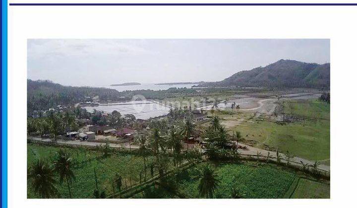 Dijual Cepat Lahan Luas Di Lombok Utara Nusa Tenggara Barat 1