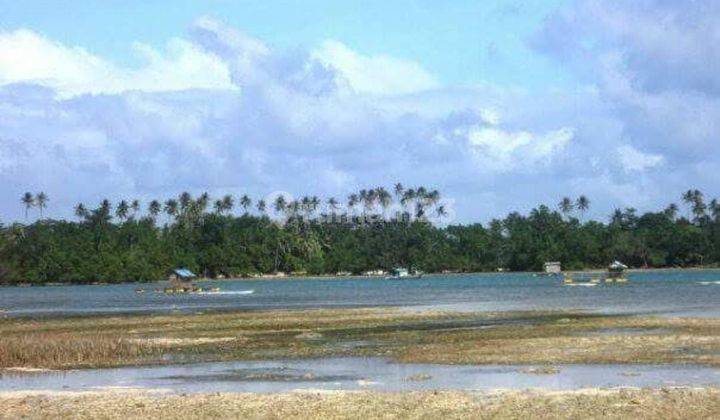Dijual Cepat Tanah Pulau Talaud Sulawesi Utara 1