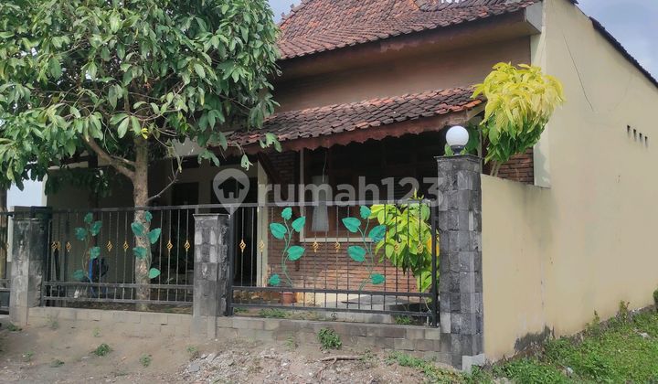 Dijual Rumah Klasik Dekat Kampus Uii Dan Ppg Dan Al Azhar