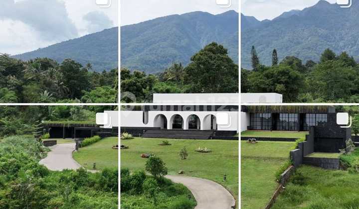 Land for Sale with Free Villa (near Bogor Palace), in Ciapus Bogor Land for Sale with Free Villa (near Bogor Palace), in Ciapus Bogor