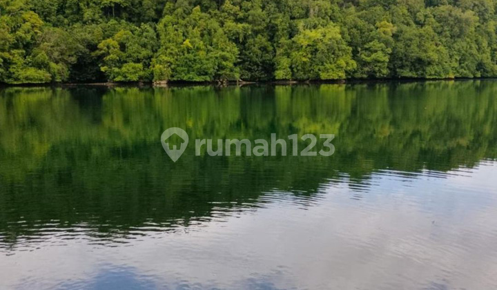 Dijual Tanah Langka Area Pariwisata 5,9Ha SHM Kal Tim Dijual Tanah Langka Area Pariwisata 5,9Ha SHM Kal Tim